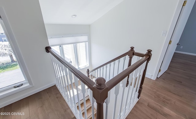 87 Lindsey Ave, Danville, PA 17821 - staircase featuring a wealth of natural light, baseboards, and wood finished floors