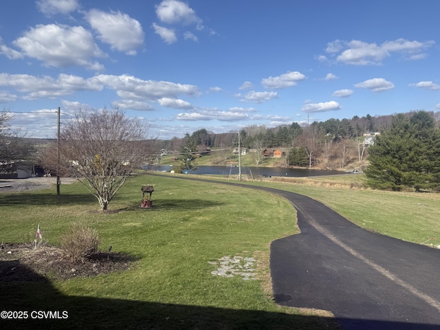 73 Seneca Dr, Shickshinny, PA 18655 - surrounding community with a yard and a water view