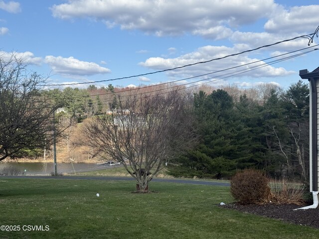 73 Seneca Dr, Shickshinny, PA 18655 - view of yard