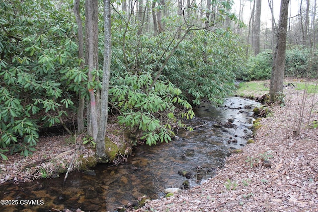 view of nature
