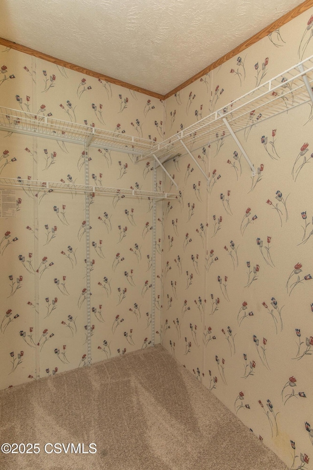 unfurnished room with carpet flooring, a textured ceiling, and crown molding