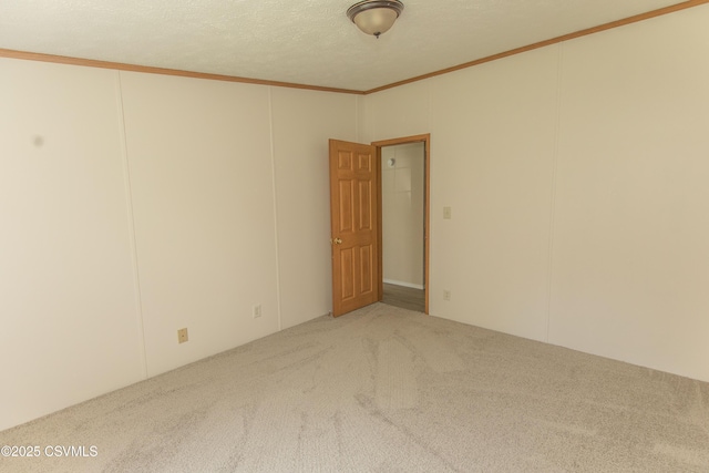 unfurnished room featuring carpet flooring, a decorative wall, and ornamental molding