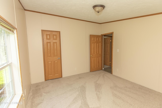carpeted empty room with crown molding, a textured ceiling, and a decorative wall