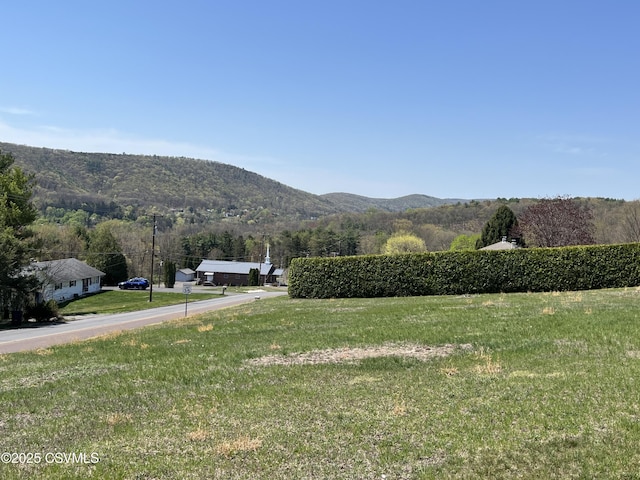 mountain view