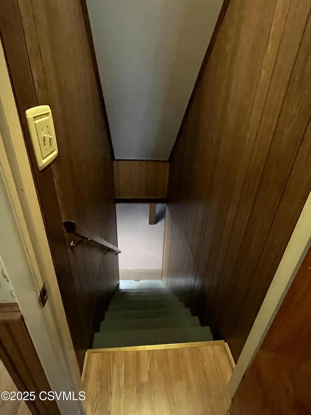 staircase with wood walls