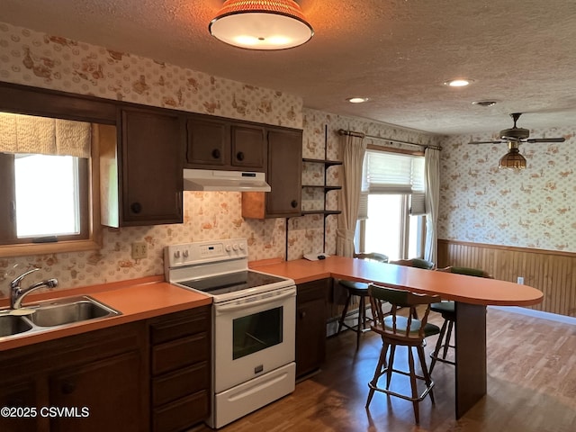 kitchen with a sink, dark wood finished floors, white electric range, wallpapered walls, and under cabinet range hood