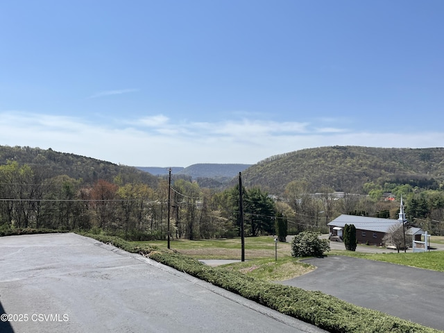 view of mountain feature with a view of trees
