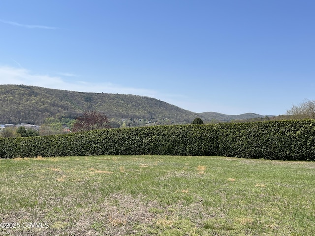 view of mountain feature