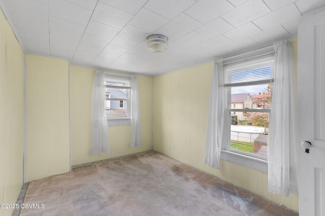 1205 N River Ave, Sunbury, PA 17801 - carpeted spare room featuring plenty of natural light and wooden walls