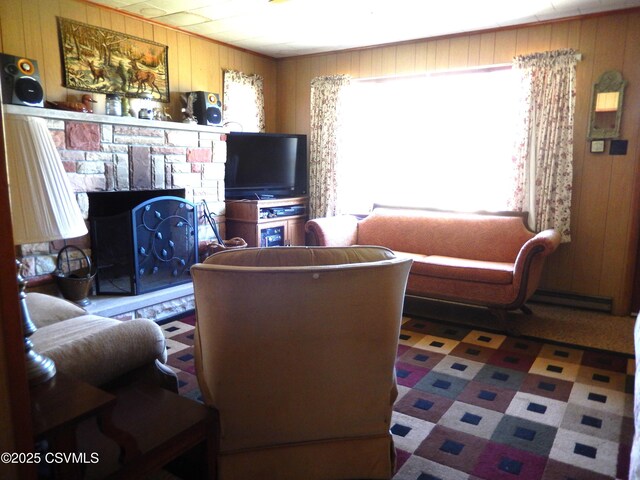 living area with a fireplace and wooden walls