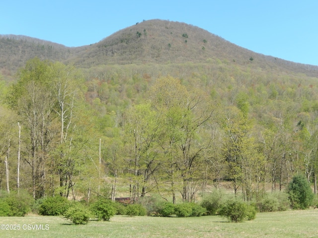 property view of mountains featuring a view of trees