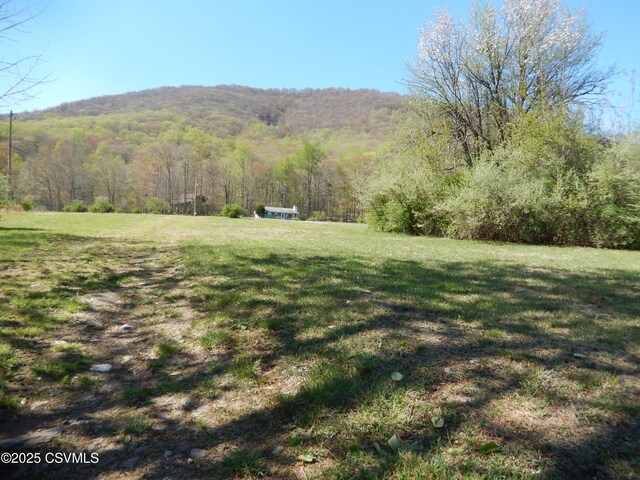 view of yard with a mountain view and a forest view