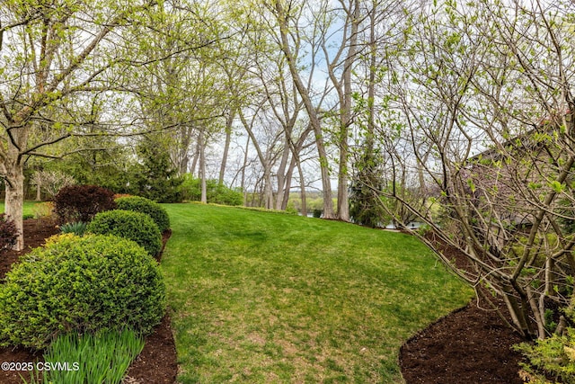 225 Moser Ln, Lewisburg, PA 17837 - photo 67