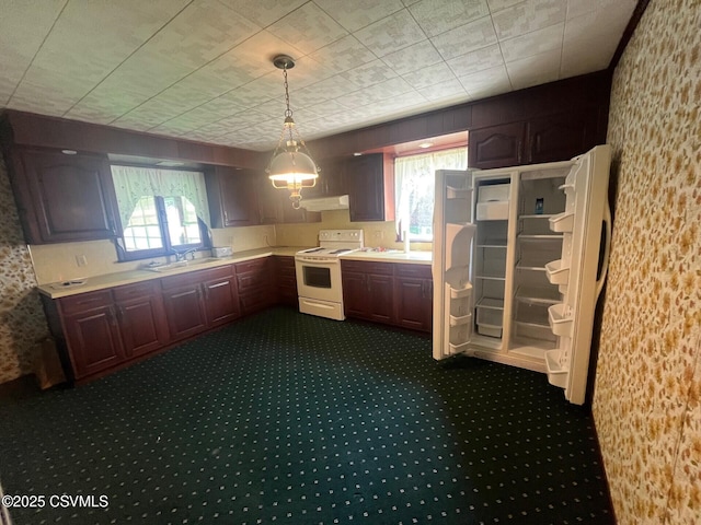 kitchen featuring dark carpet, white electric range oven, plenty of natural light, and under cabinet range hood