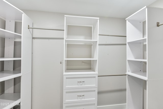 view of walk in closet
