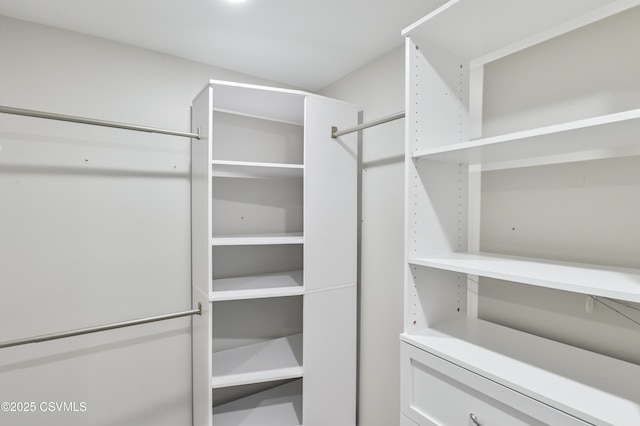 view of walk in closet