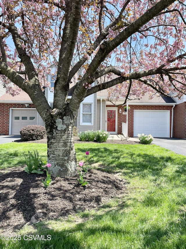 obstructed view of property with a front lawn and brick siding