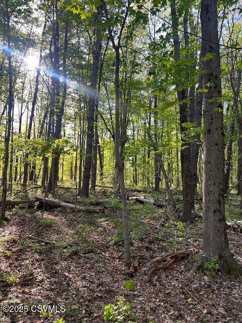 Iron Cave Ln, Lewisburg, PA 17837