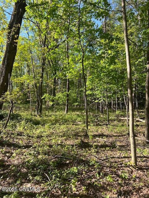 Iron Cave Ln, Lewisburg, PA 17837