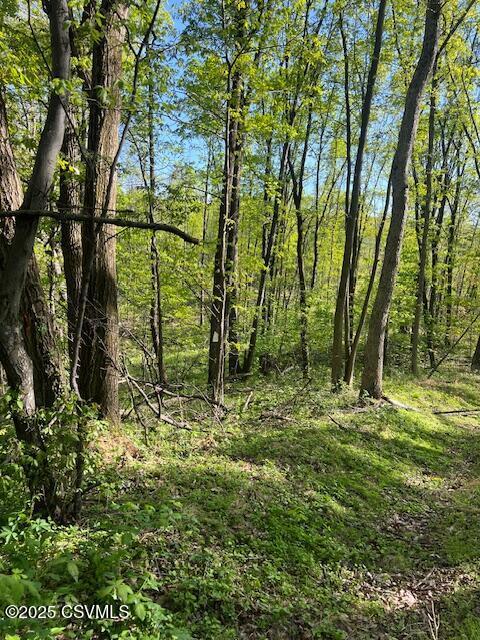 Iron Cave Ln, Lewisburg, PA 17837