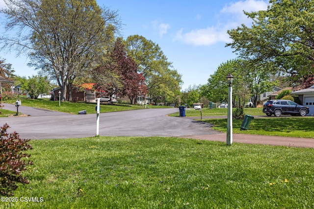 31 Holly Ct, Danville, PA 17821 - exterior space featuring street lighting and a residential view