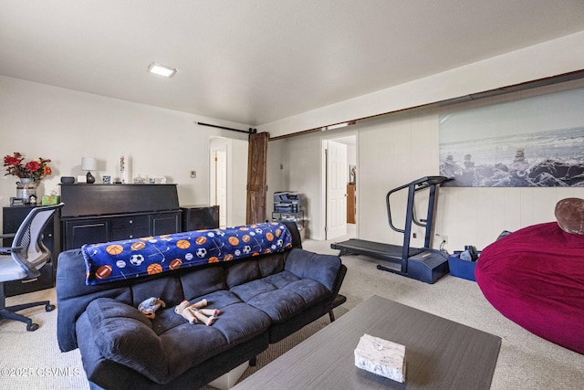 31 Holly Ct, Danville, PA 17821 - living area with carpet flooring