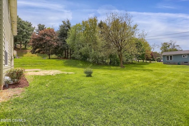 92 Valley View Rd, Lewisburg, PA 17837 - view of yard