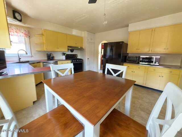 735 E 3rd St, Bloomsburg, PA 17815 - kitchen featuring stainless steel appliances, a sink, under cabinet range hood, arched walkways, and light brown cabinets