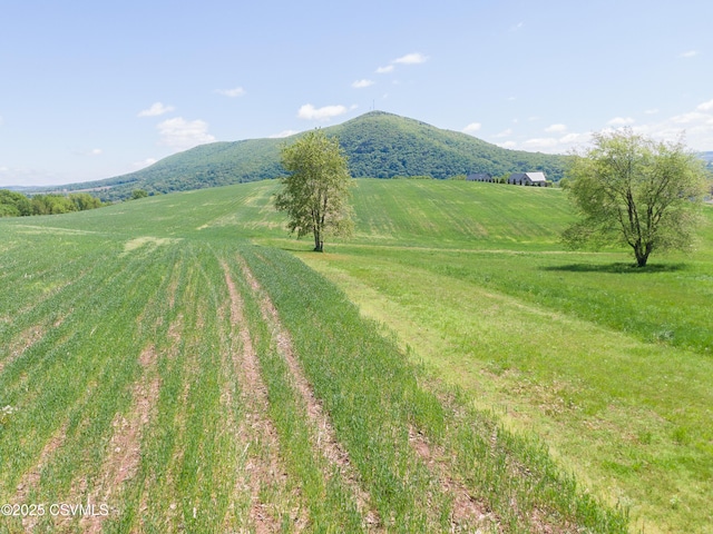 Roosters Rd, Port Trevorton, PA 17864