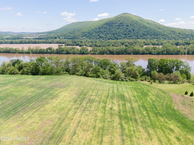 Roosters Rd, Port Trevorton, PA 17864
