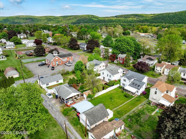 341 Dewart St, Danville, PA 17821 - aerial view of residential area with a heavily wooded area