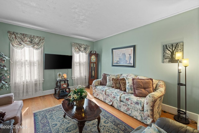 341 Dewart St, Danville, PA 17821 - living area featuring plenty of natural light, wood finished floors, baseboards, and a textured ceiling
