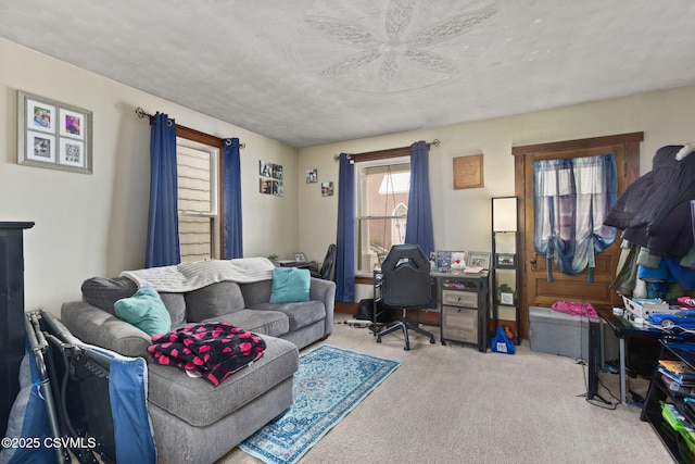 276 3rd St, New Columbia, PA 17856 - view of carpeted living area