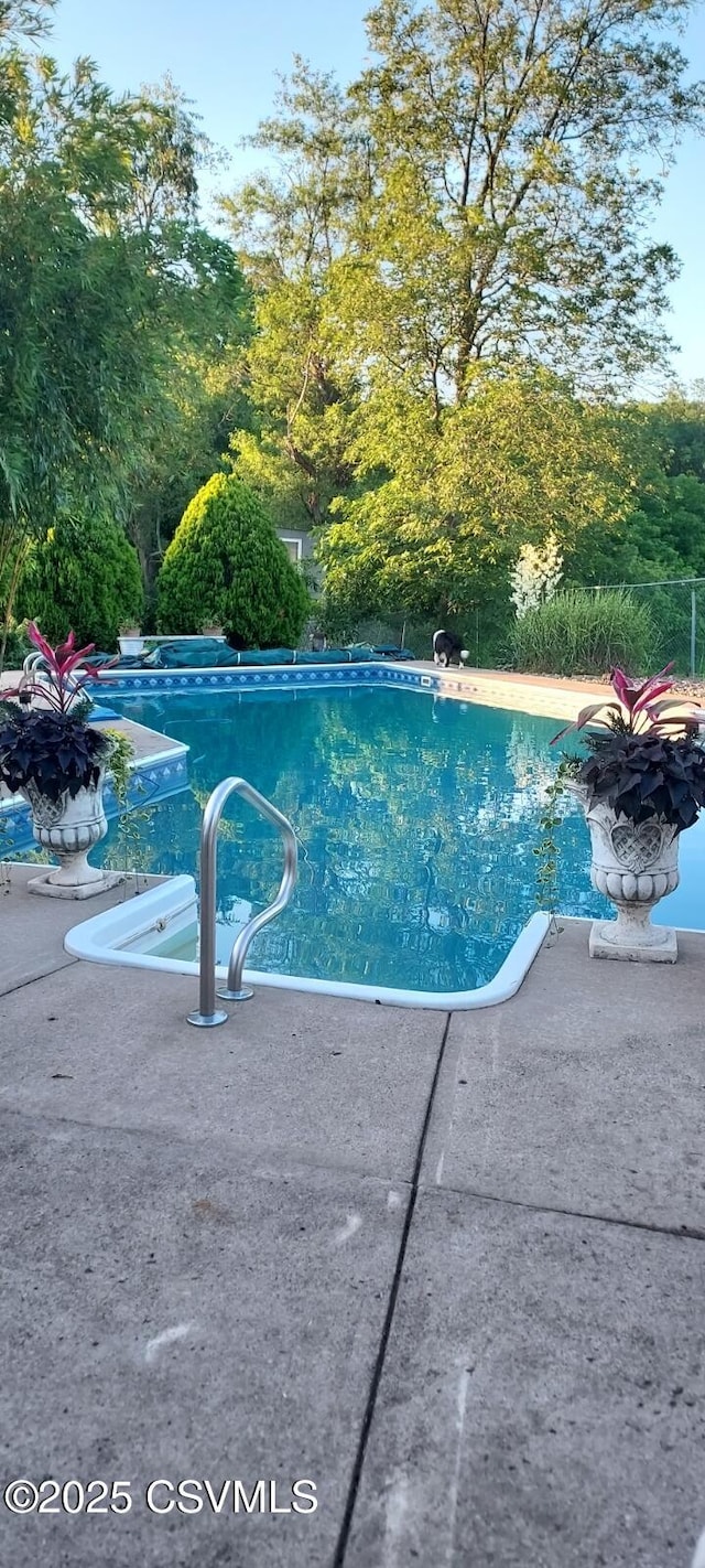 view of swimming pool