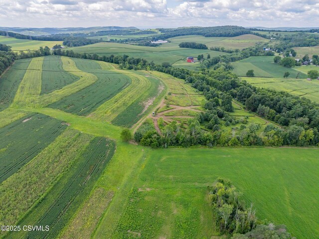 357 Lick Run Rd, Bloomsburg, PA 17815 - aerial view of sparsely populated area featuring rows of crops