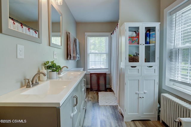 120 Geise St, Sunbury, PA 17801 - full bathroom featuring radiator heating unit, wood finished floors, double vanity, and baseboards