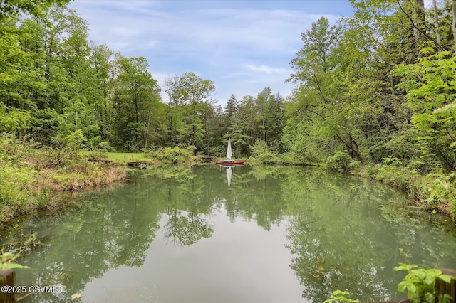 1437 Gray Hill Rd, New Columbia, PA 17856 - photo 41