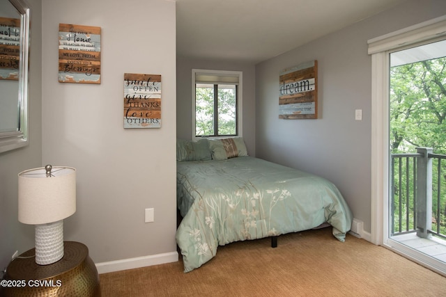 78 Trillium Ln, Danville, PA 17821 - carpeted bedroom featuring multiple windows, access to outside, and baseboards