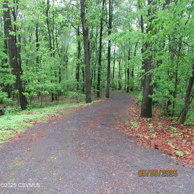 view of road featuring a wooded view