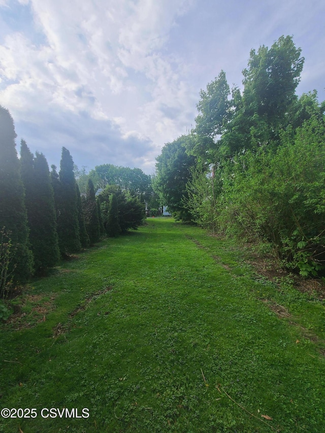 view of grassy yard