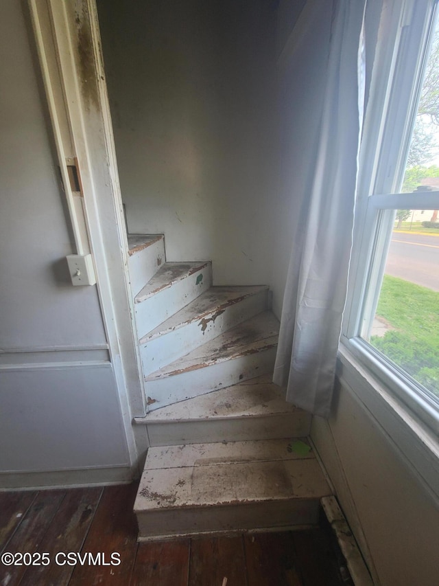 stairs featuring plenty of natural light and wood finished floors