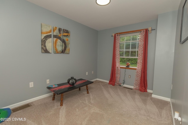 miscellaneous room with carpet and baseboards
