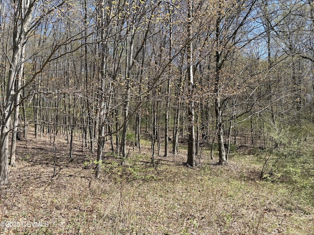 Dog Leg Ln, Catawissa, PA 17820