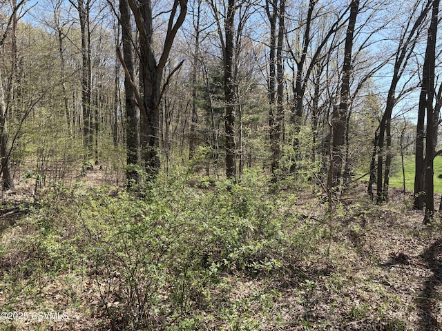 Dog Leg Ln, Catawissa, PA 17820