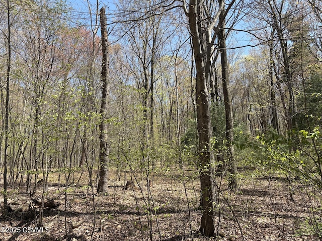 Dog Leg Ln, Catawissa, PA 17820