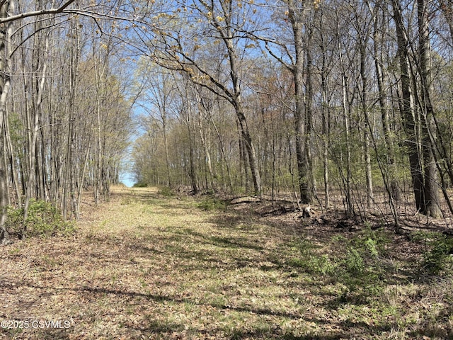 Dog Leg Ln, Catawissa, PA 17820