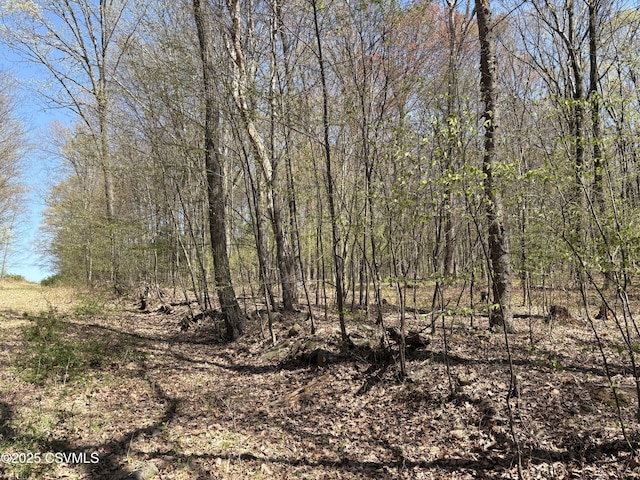 Dog Leg Ln, Catawissa, PA 17820