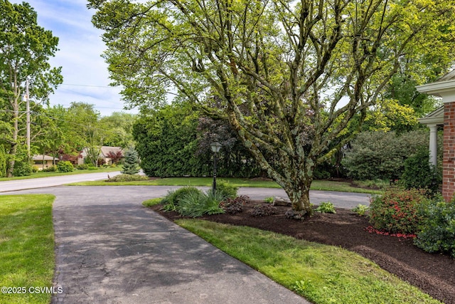 304 Hardscrabble Ln, Lewisburg, PA 17837 - view of home's community with asphalt driveway
