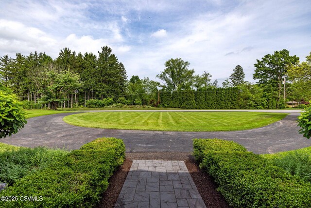 304 Hardscrabble Ln, Lewisburg, PA 17837 - view of home's community with a yard