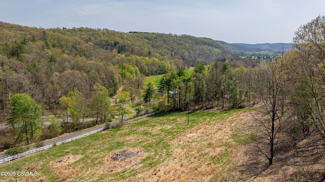 view of mountain backdrop featuring a forest